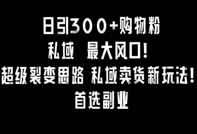 日引300+购物粉,超级裂变思路,私域卖货新玩法,小红书首选副业【揭秘】-水滴知识网