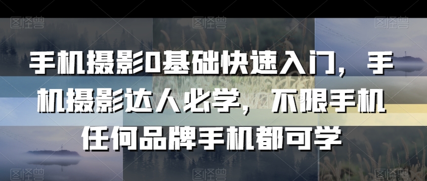 手机摄影0基础快速入门,手机摄影达人必学,不限手机任何品牌手机都可学-水滴知识网