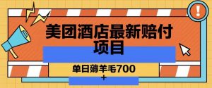 美团酒店最新赔付项目,单日薅羊毛700+【仅揭秘】-水滴知识网