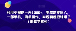 利用小程序一天1000+,零成本零投入,一部手机,简单操作,实现躺着把钱赚了(附教学素材)【揭秘】-水滴知识网