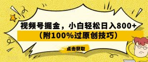 视频号掘金，小白轻松日入800+（附100%过原创技巧）【揭秘】-水滴知识网