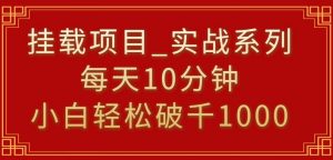 挂载项目，小白轻松破1000，每天10分钟，实战系列保姆级教程【揭秘】-水滴知识网