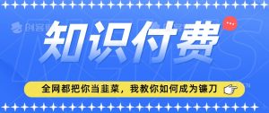 2024最新知识付费项目,小白也能轻松入局,全网都在教你做项目,我教你做镰刀【揭秘】-水滴知识网