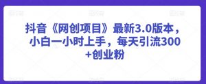 抖音《网创项目》最新3.0版本，小白一小时上手，每天引流300+创业粉【揭秘】-水滴知识网