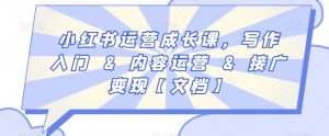小红书运营成长课,写作入门&内容运营&接广变现【文档】-水滴知识网