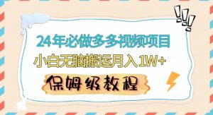 人人都能操作的蓝海多多视频带货项目，小白无脑搬运月入10000+【揭秘】-水滴知识网
