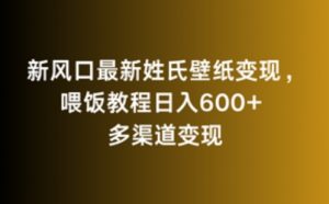新风口最新姓氏壁纸变现，喂饭教程日入600+【揭秘】-水滴知识网