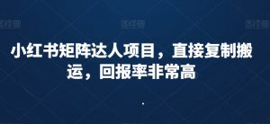 小红书矩阵达人项目,直接复制搬运,回报率非常高-水滴知识网