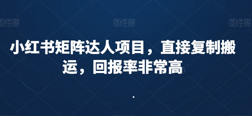 小红书矩阵达人项目，直接复制搬运，回报率非常高-水滴知识网