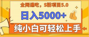 男粉项目5.0，最新野路子，纯小白可操作，有手就行，无脑照抄，纯保姆教学【揭秘】-水滴知识网