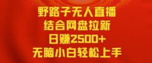 野路子无人直播结合网盘拉新,日赚2500+,小白无脑轻松上手【揭秘】-水滴知识网