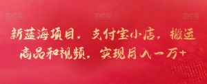 新蓝海项目,支付宝小店,搬运商品和视频,实现月入一万+【揭秘】-水滴知识网