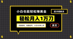 谷歌看广告撸美金2.0,无脑挂机,多号操作,月入1万刀【揭秘】-水滴知识网