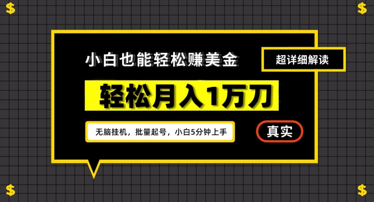 谷歌看广告撸美金2.0,无脑挂机,多号操作,月入1万刀【揭秘】-水滴知识网