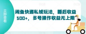 闲鱼快递私域玩法，睡后收益500+，多号操作收益无上限【揭秘】-水滴知识网