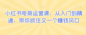 小红书电商运营课,从入门到精通,带你抓住又一个赚钱风口-水滴知识网