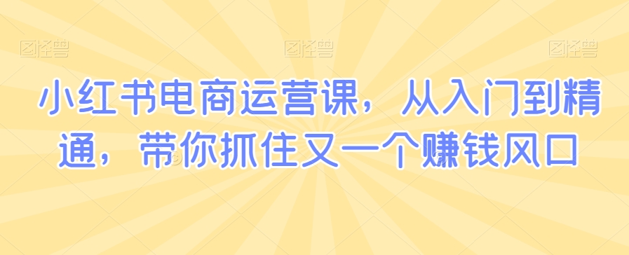 小红书电商运营课,从入门到精通,带你抓住又一个赚钱风口-水滴知识网