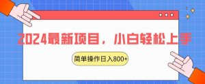 2024最新项目，红娘项目，简单操作轻松日入800+【揭秘】-水滴知识网
