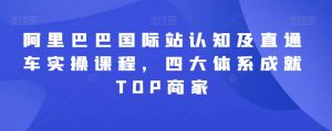 阿里巴巴国际站认知及直通车实操课程,四大体系成就TOP商家-水滴知识网