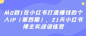从0到1在小红书打造赚钱的个人IP(第四期),21天小红书博主实战训练营-水滴知识网