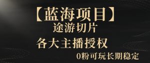 一天收入2000+,最新中视频创新玩法,用AI科技一键改唱影解说刷爆流量收益【揭秘】-水滴知识网