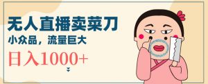 无人冷门品直播新玩法，通过卖菜刀日入1000+【揭秘】-水滴知识网