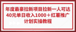 年度最豪拉新项目拉新一人可达40元单日收入1000+红薯推广计划实操教程【揭秘】-水滴知识网