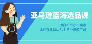亚马逊-蓝海选品课：适合新手小白卖家，让你轻松日出几十单小爆款产品-水滴知识网