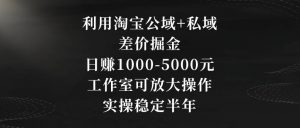 利用淘宝公域+私域差价掘金，日赚1000-5000元，工作室可放大操作，实操稳定半年【揭秘】-水滴知识网