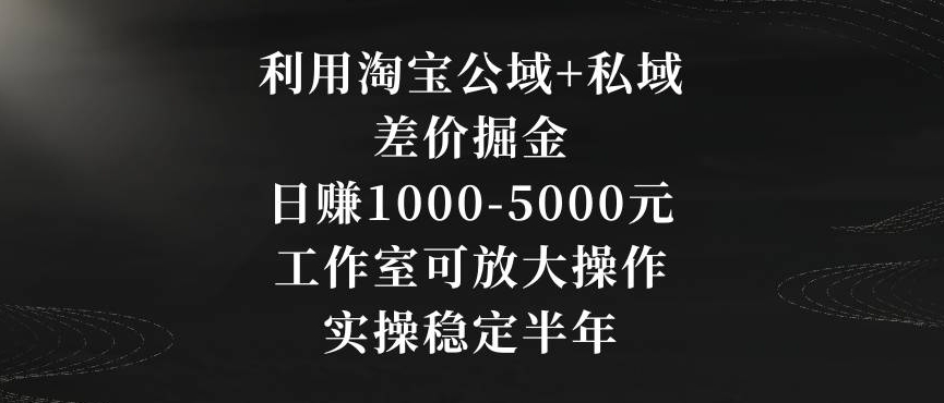 利用淘宝公域+私域差价掘金,日赚1000-5000元,工作室可放大操作,实操稳定半年【揭秘】-水滴知识网