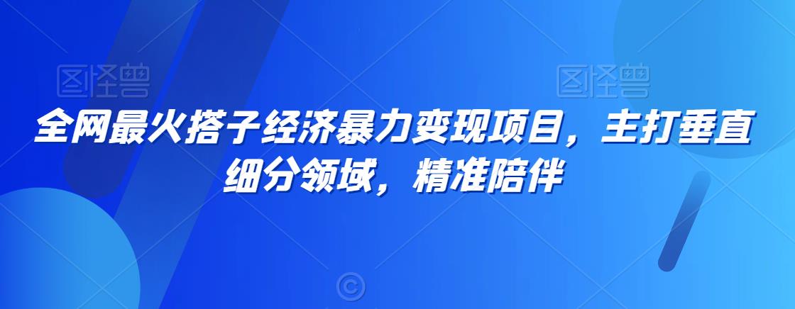 全网最火搭子经济暴力变现项目,主打垂直细分领域,精准陪伴【揭秘】-水滴知识网