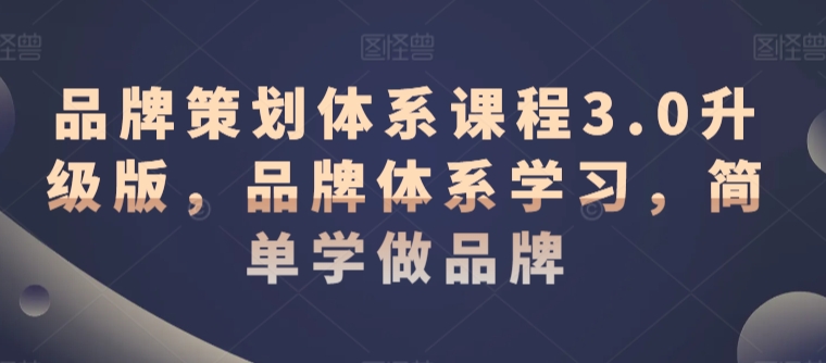 品牌策划体系课程3.0升级版,品牌体系学习,简单学做品牌-水滴知识网