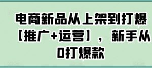 电商新品从上架到打爆【推广+运营】,新手从0打爆款-水滴知识网