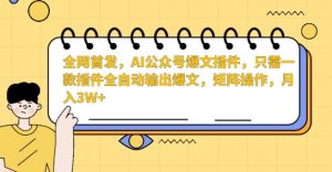 全网首发，AI公众号爆文插件，只需一款插件全自动输出爆文，矩阵操作，月入3W+【揭秘】-水滴知识网