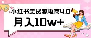 小红书新电商实战，无货源实操从0到1月入10w+联合抖音放大收益【揭秘】-水滴知识网