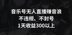 音乐号无人直播赚音浪，不违规、不封号，1天收益300+【揭秘】-水滴知识网