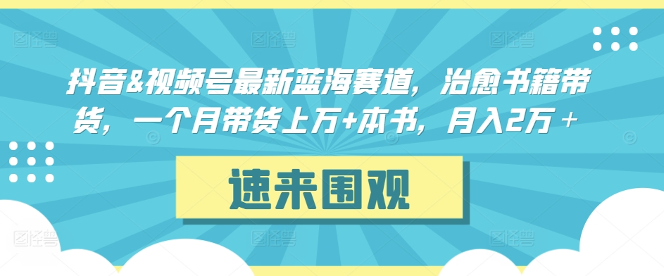 抖音&视频号最新蓝海赛道,治愈书籍带货,一个月带货上万+本书,月入2万+【揭秘】-水滴知识网
