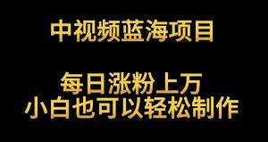 中视频蓝海项目，解读英雄人物生平，每日涨粉上万，小白也可以轻松制作，月入过万不是梦【揭秘】-水滴知识网
