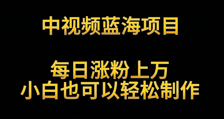 中视频蓝海项目，解读英雄人物生平，每日涨粉上万，小白也可以轻松制作，月入过万不是梦【揭秘】-水滴知识网