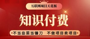 2024互联网项目天花板,新手小白也可以通过知识付费月入10W,实现财富自由【揭秘】-水滴知识网
