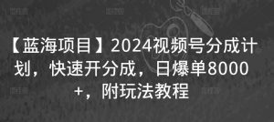 【蓝海项目】2024视频号分成计划，快速开分成，日爆单8000+，附玩法教程-水滴知识网