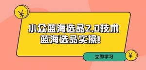 拼多多培训第33期:小众蓝海选品2.0技术-蓝海选品实操!-水滴知识网