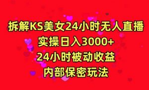 利用快手24小时无人美女直播，实操日入3000，24小时被动收益，内部保密玩法【揭秘】-水滴知识网