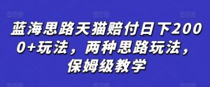 蓝海思路天猫赔付日下2000+玩法，两种思路玩法，保姆级教学【仅揭秘】-水滴知识网