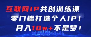 互联网IP共创训练课,零门槛零基础打造个人IP,月入10w+不是梦【揭秘】-水滴知识网