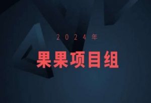 2024年果果项目组项目合集-果果最新项目-水滴知识网