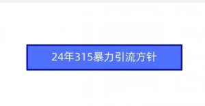 24年315暴力引流方针-水滴知识网