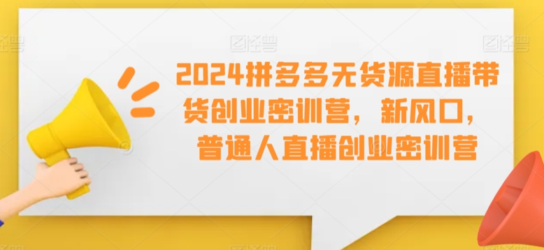 2024拼多多无货源直播带货创业密训营,新风口,普通人直播创业密训营-水滴知识网