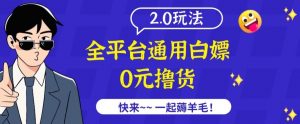 外面收费2980的全平台通用白嫖撸货项目2.0玩法【仅揭秘】-水滴知识网
