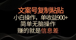 文案号掘金,简单复制粘贴,小白操作,单作品收益900+【揭秘】-水滴知识网